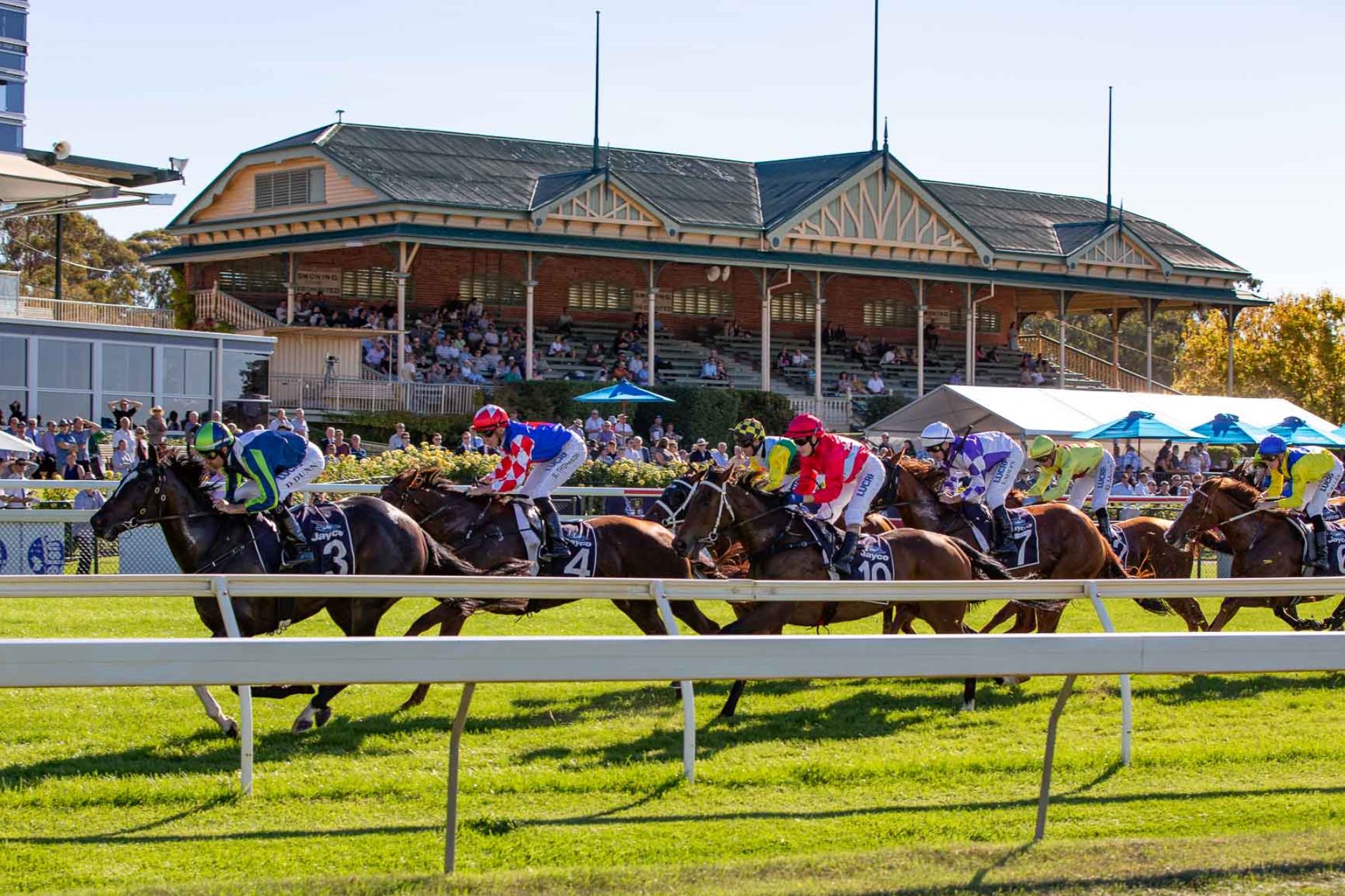 bendigo-racecourse
